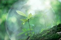 会社関連の写真