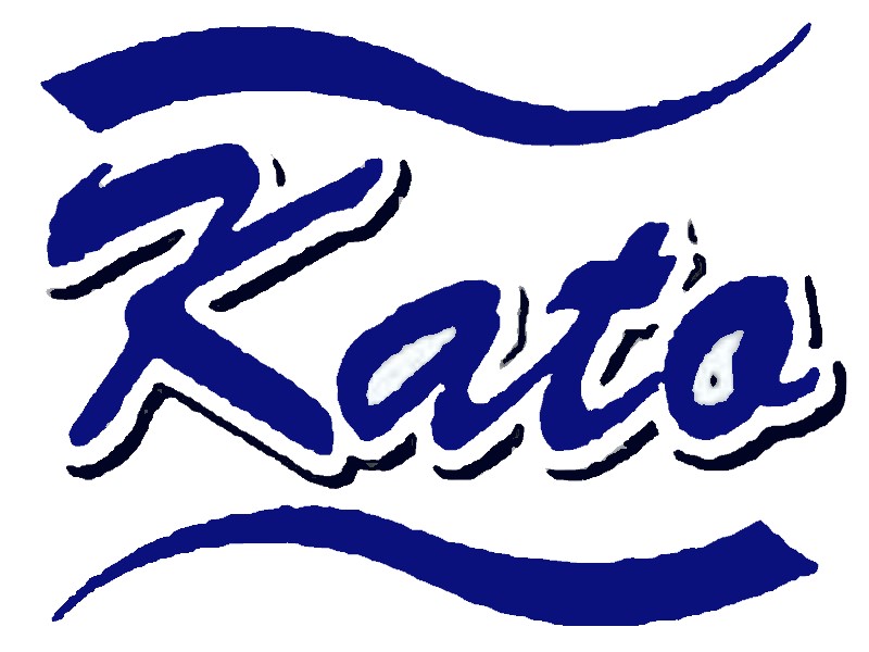 株式会社ピーシーカトー