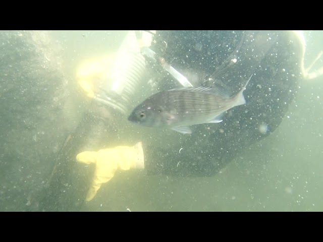 【株式会社ＭＭＳ】MJP浚渫(4インチ編)