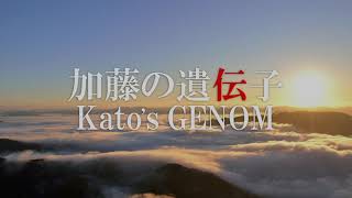 加藤の遺伝子 第0話 加藤の遺伝子 オープニング + イントロダクション