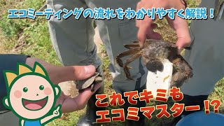 エコミーティングの流れをわかりやすく解説！これでキミもエコミマスター!?