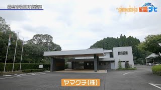 【ヤマグチ（株）】地元で輝く！かごしま就活ナビ