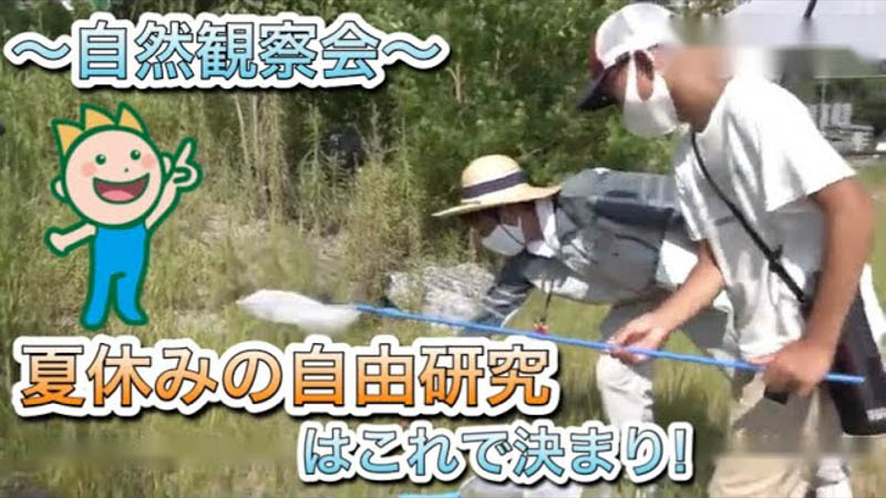 夏休みの自由研究はこれで決まり！～自然観察会～